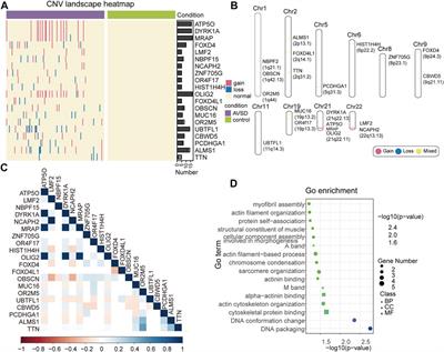 Rare copy number variation analysis identifies disease-related variants in atrioventricular septal defect patients